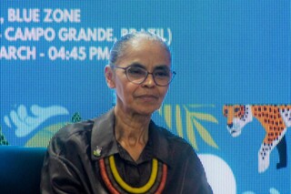 Espa&ccedil;o Brasil &eacute; lan&ccedil;ado para abordar rotas nacionais de esp&eacute;cies migrat&oacute;rias