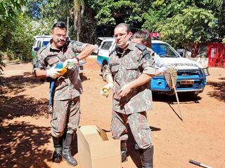 Caso de &ldquo;mini zool&oacute;gico&rdquo; termina com morte de Catarina e liberdade de Chiquinho