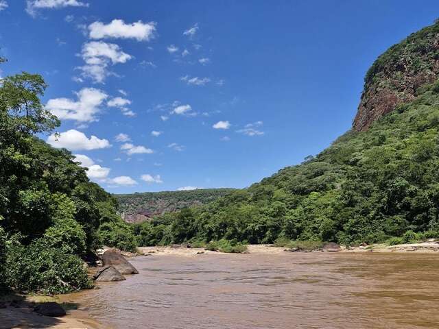 Homem desaparece no Rio Aquidauana e bombeiros iniciam buscas 
