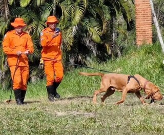 Combateu o bom combate: Morre &ldquo;Chef&atilde;o&rdquo;, c&atilde;o farejador dos bombeiros