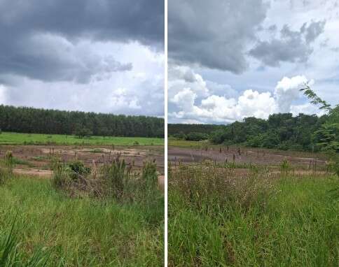 Expans&atilde;o da celulose avan&ccedil;a junto com a degrada&ccedil;&atilde;o h&iacute;drica no Leste de MS