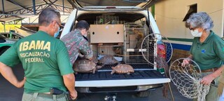 Caso de &ldquo;mini zool&oacute;gico&rdquo; termina com morte de Catarina e liberdade de Chiquinho