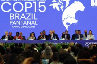 Abertura oficial da COP reforça diagnóstico duro e cobra ação além do discurso Abertura oficial da COP reforça diagnóstico duro e cobra ação além do discurso