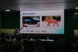 Com poucas barragens, "on&ccedil;a-pintada" dos rios ainda est&aacute; protegida no Pantanal