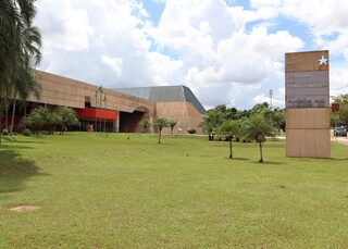 Entre discursos da COP15, corujas vivem rotina silenciosa no cora&ccedil;&atilde;o do poder