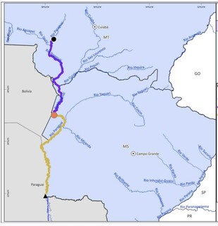 Especialistas apontam danos ao Pantanal e elaboram carta contra hidrovia
