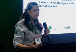 Com poucas barragens, "on&ccedil;a-pintada" dos rios ainda est&aacute; protegida no Pantanal