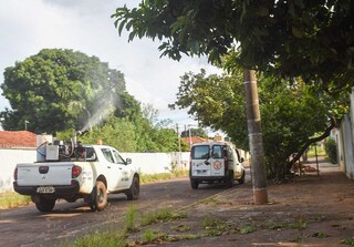 A&ccedil;&atilde;o contra dengue atinge Los Angeles, Universit&aacute;rio e Alves Pereira nesta ter&ccedil;a