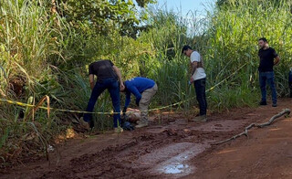Corpo de mulher com perfura&ccedil;&atilde;o na cabe&ccedil;a &eacute; encontrado &agrave;s margens de estrada