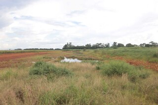 Estrutura para conter enchentes preocupa moradores por falta de manuten&ccedil;&atilde;o