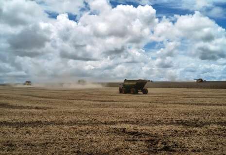 Setor rural enfrenta restri&ccedil;&otilde;es de diesel, mas sindicato nega desabastecimento