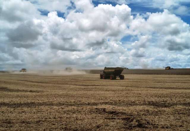 Setor rural enfrenta restri&ccedil;&otilde;es de diesel, mas sindicato nega desabastecimento