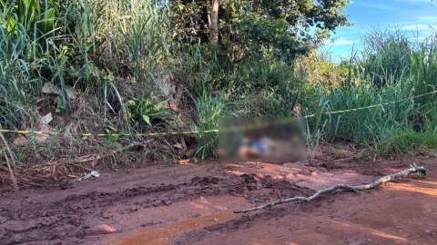 Corpo de mulher com perfura&ccedil;&atilde;o na cabe&ccedil;a &eacute; encontrado &agrave;s margens de estrada