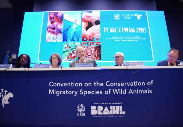 Debate na COP15 cobra a&ccedil;&atilde;o do Judici&aacute;rio na prote&ccedil;&atilde;o de esp&eacute;cies