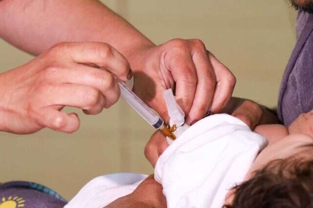 Sesau aplica vacina contra gripe na quinta-feira e ter&aacute; Dia D no s&aacute;bado