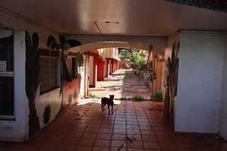 Ap&oacute;s inc&ecirc;ndio em motel desativado, moradores reclamam de abandono que gera medo