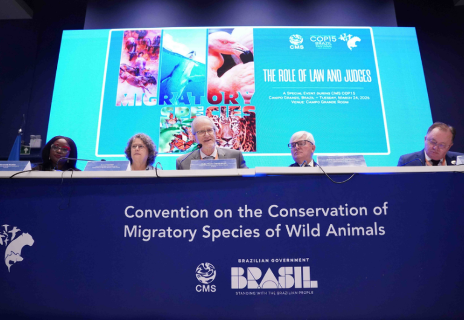 Debate na COP15 cobra a&ccedil;&atilde;o do Judici&aacute;rio na prote&ccedil;&atilde;o de esp&eacute;cies