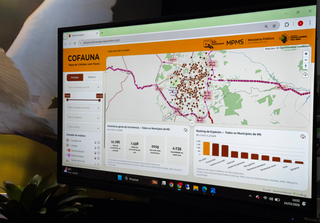 Levantamento indica m&eacute;dia de 100 antas mortas ao ano em estradas de MS