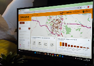 Levantamento indica média de 100 antas mortas ao ano em estradas de MS