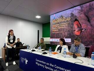 Com estrutura de hoje, inc&ecirc;ndios de 2020 n&atilde;o teriam ocorrido, acredita bi&oacute;loga