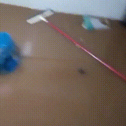 Chuva invade casa no Centro-Oeste e fam&iacute;lia perde m&oacute;veis