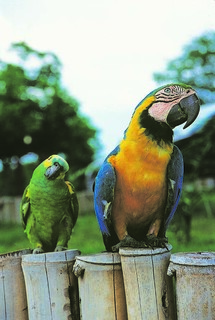 Jornalista revisita Mato Grosso do Sul com olhar crítico, memória e fotografia Jornalista revisita Mato Grosso do Sul com olhar crítico, memória e fotografia