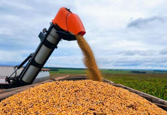 Colheita da soja em MS alcan&ccedil;a 82% da &aacute;rea e plantio do milho chega a 84,6%