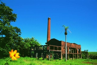 Jornalista revisita Mato Grosso do Sul com olhar crítico, memória e fotografia Jornalista revisita Mato Grosso do Sul com olhar crítico, memória e fotografia