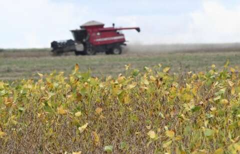 Escalada da guerra no Ir&atilde; encarece fertilizantes e amea&ccedil;a safra 2026/27 em MS