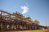 Mato Grosso do Sul prev&ecirc; safra recorde com 5 bilh&otilde;es de litros de etanol