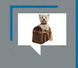 O c&atilde;o mais antigo do mundo era turco e viveu h&aacute; 16.000 anos