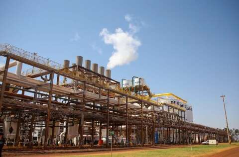 Mato Grosso do Sul prev&ecirc; safra recorde com 5 bilh&otilde;es de litros de etanol