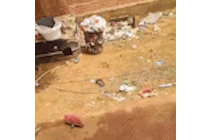 &ldquo;Sentei e chorei&rdquo;: ap&oacute;s &aacute;gua da chuva baixar, moradora v&ecirc; estragos que sobraram