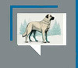 O c&atilde;o mais antigo do mundo era turco e viveu h&aacute; 16.000 anos