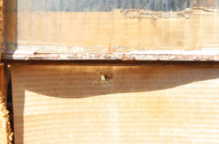 Barbeiro suspeito de matar rapaz por d&iacute;vida de R$ 600 &eacute; preso