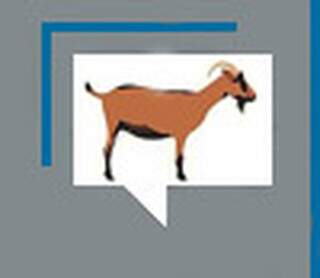 O c&atilde;o mais antigo do mundo era turco e viveu h&aacute; 16.000 anos