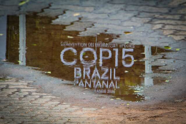 Blue Zone da COP15 revela grandeza de um mundo plural dentro de Campo Grande