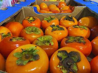 Outono adoça o mercado e transforma o caqui no queridinho das bancas Outono adoça o mercado e transforma o caqui no queridinho das bancas