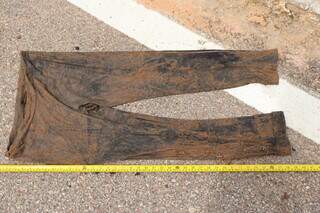 Ossada humana &eacute; encontrada &agrave;s margens de rodovia em Coxim