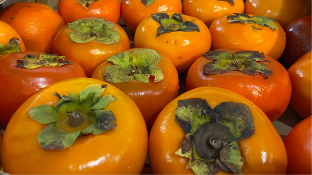 Outono ado&ccedil;a o mercado e transforma o caqui no queridinho das bancas