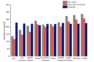 Diversidade de peixes se concentra onde impacto humano cresce, mostra estudo Diversidade de peixes se concentra onde impacto humano cresce, mostra estudo