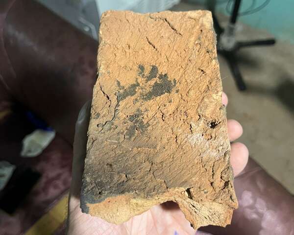 Mulher mata marido a tijolada e &eacute; solta por agir em leg&iacute;tima defesa