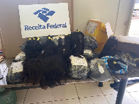 PF investiga envio irregular de cabelos humanos em empresa de MS