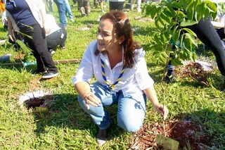 Com plantio de 250 mudas, pra&ccedil;a passa a se chamar Bosque da COP15