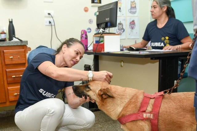 Consult&oacute;rio m&oacute;vel leva atendimento a pets do Jardim Noroeste