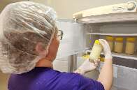 Doa&ccedil;&otilde;es de leite materno crescem em MS, mas HU registra estoque cr&iacute;tico