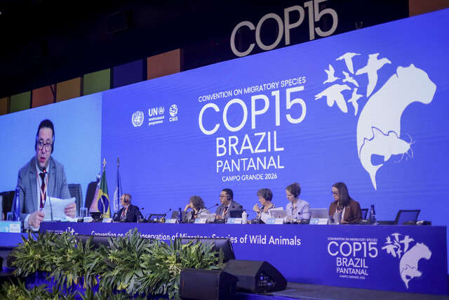 COP15 tem plantio de mudas e visita p&uacute;blica em Campo Grande neste s&aacute;bado