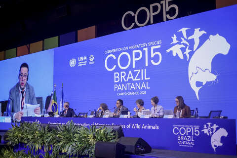 COP15 tem plantio de mudas e visita p&uacute;blica em Campo Grande neste s&aacute;bado