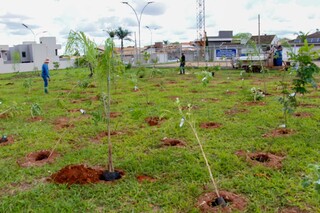 Com plantio de 250 mudas, pra&ccedil;a passa a se chamar Bosque da COP15