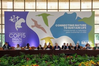 "COP colocou Pantanal para o mundo", diz presidente da confer&ecirc;ncia